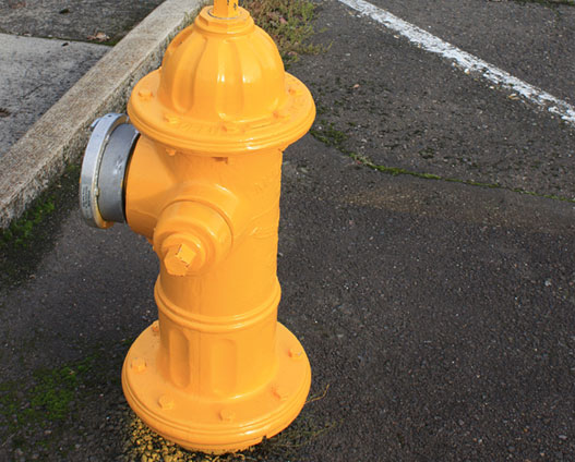 Fire Hydrant Repair & Replacement